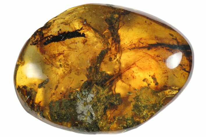 Polished Chiapas Amber ( g) - Mexico #114845